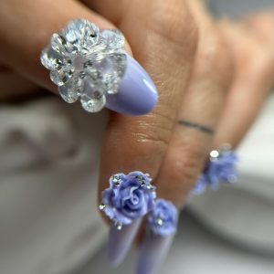 Curso polygel Ombré